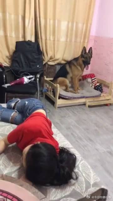 好暖心的狗狗,有这么好的狗狗必须赞...